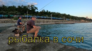 Без удочки на поплавок! Рыбалка в Сочи летом 2024.