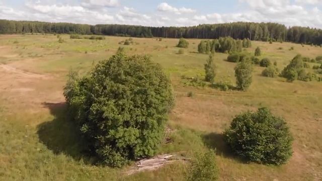 Деревня с высоты птичьего полета смотреть онлайн