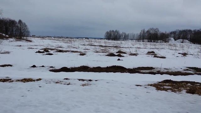 Земельные участки ДНТ Ропшинские Ключи смотреть онлайн