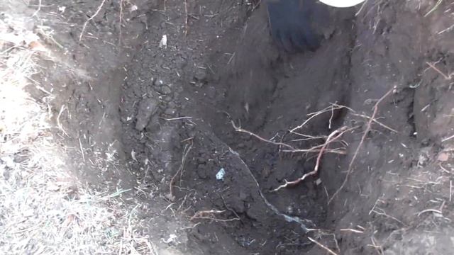 Нашли обломки самолета. Военная археология # 3/20 смотреть онлайн