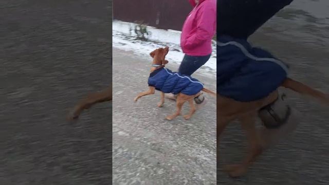 повернули к дому..