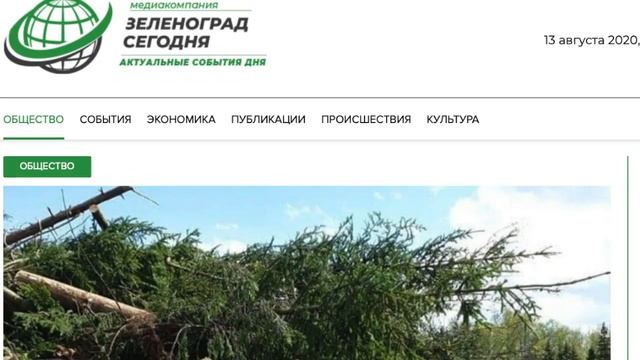 Сохраним леса Подмосковья. смотреть онлайн