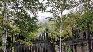 ВОССТАНОВЛЕНИЕ ДАЧНОГО ДОМИКА ПРОДОЛЖАЕТСЯ.