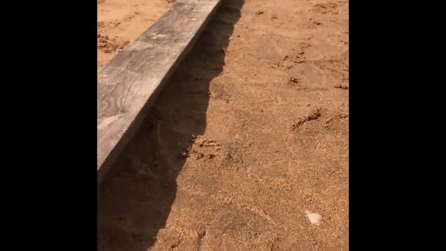 Сарай своими руками/ бюджетно и быстро / зимняя постройка / курятник смотреть онлайн