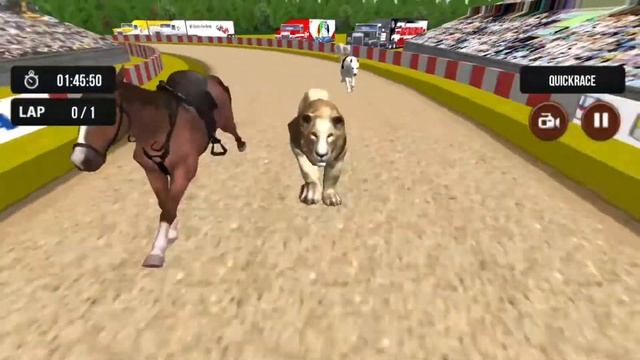 Wild Animal Race ~ Android Game Play Wild Lion Racing Animal Race смотреть онлайн