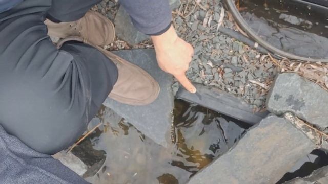 СКИММЕР ДЛЯ ПРУДА Часть 3 | Скиммер для пруда 0,9 Га смотреть онлайн