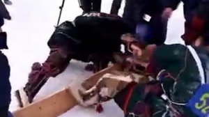 День оленевода (2005 г.)