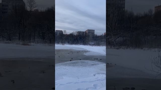 Красивая природа подмосковья. смотреть онлайн