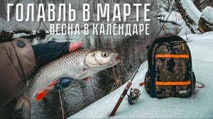 ГОЛАВЛЬ В МАРТЕ! Крупнее приманки = КРУПНЕЕ РЫБЫ? Рыбалка с TENRYU Rayz 632S-L