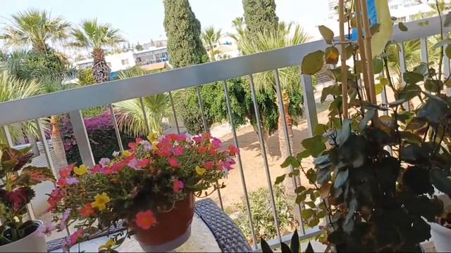 СПАСИБО ВАМ АДЕКВАТНЫЕ ЛЮДИ🙏💙💛 смотреть онлайн