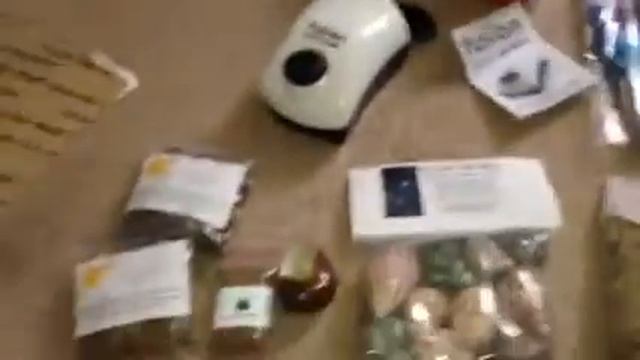 Hermit Crab Patch Haul: 12/5/14 смотреть онлайн