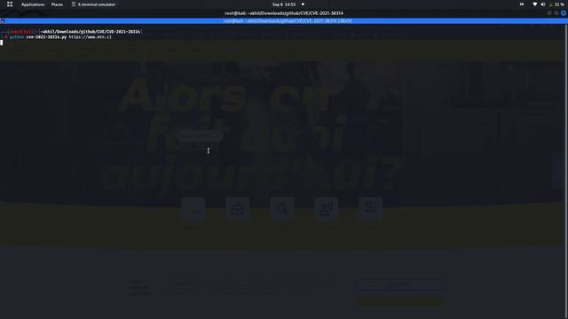 Information Disclosure | CVE 2022-29455 | Wordpress Vulnerability | Bug Bounty Poc | 2022 смотреть онлайн