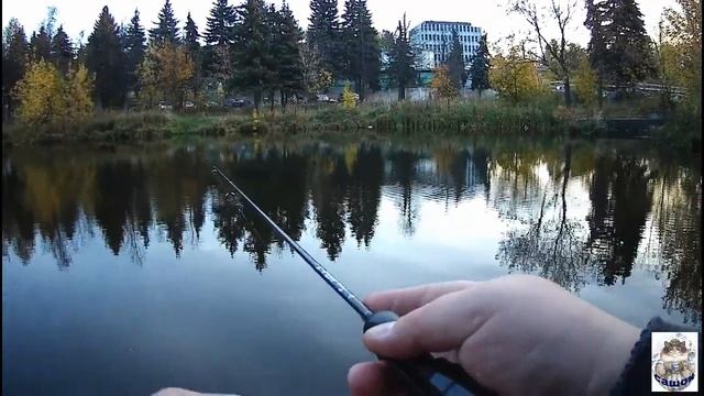 МОРМЫШИНГ. Fario MORM -T и приманки Андрея Быкова ПЛОТВА ОКУНЬ НА ФАРИО ТУБУЛЯРКУ. смотреть онлайн