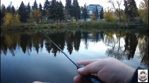 МОРМЫШИНГ. Fario MORM -T и приманки Андрея Быкова ПЛОТВА ОКУНЬ НА ФАРИО ТУБУЛЯРКУ.