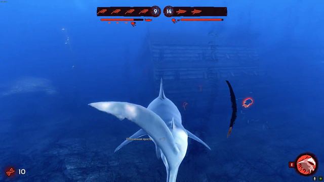 Depth показываю как надо играть на акуле смотреть онлайн