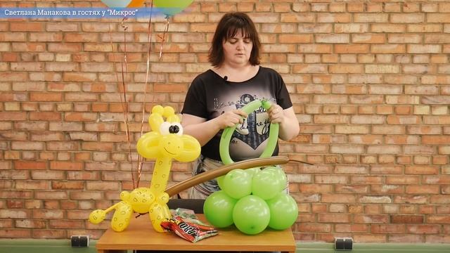 Как сделать пальму ? из воздушных шаров своими руками? Мастер-класс от Микрос смотреть онлайн