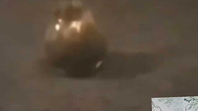 Я здесь живу! смотреть онлайн