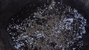 Сажаем алычу с Мариной Рыкалиной и готовим сад на зиму со стимулятором морозостойкости АнтиЗима