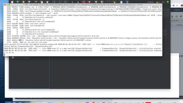 Java Cloud Native Challenge - Shrinking Resources - Quarkus vs SpringBoot (Part2) смотреть онлайн