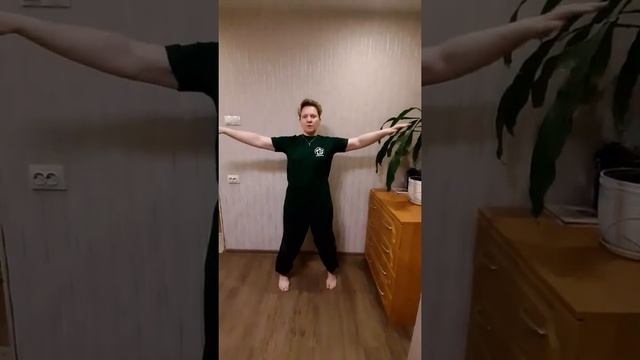 Stikhiya Wing Chun. Siu Nim Tao (2 часть) с названиями элементов смотреть онлайн