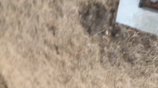 4# Часть пропавшей девочки 6 лет назад