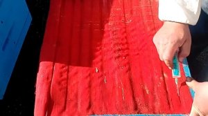 Обработка пчел пихтовым маслом . Дополнительное средство  от клеща .