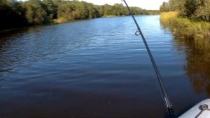 Нереальная красота. Рыбалка в Ярославской области. Река Нерль.