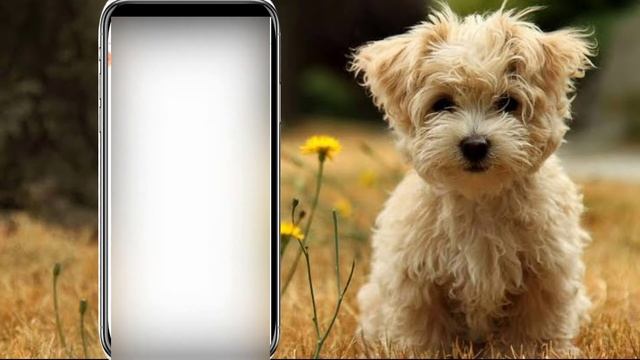 Ishaan monitor jaisa logo kaise banaye / Pics art tutorial in hindi смотреть онлайн