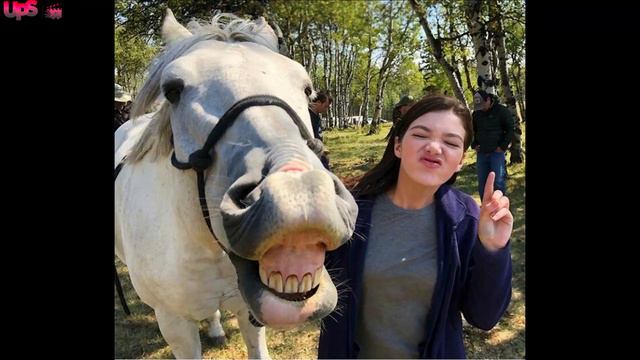 Where is Alisha Newton? Has Georgie Fleming Left Heartland in Season 15? смотреть онлайн
