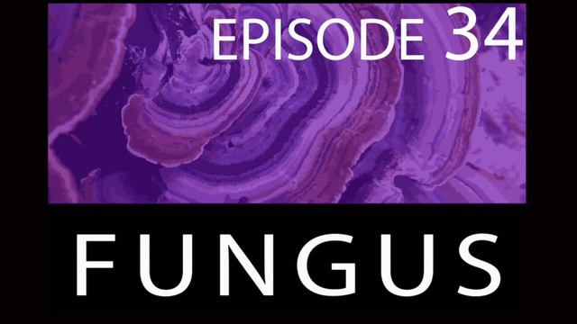 Episode 34 - Fungus смотреть онлайн