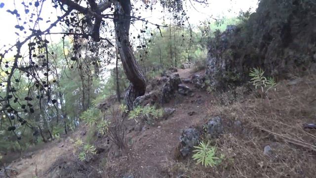 Турция, Дальян, вилла Гокбел. Turkey, Dalyan, Villa Gokbel. 07.2019. смотреть онлайн