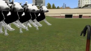 польская корова