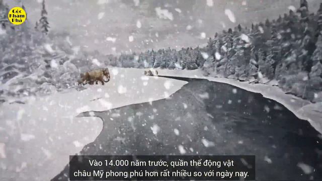 Hành trình Homo Sapiens đến châu Mỹ - ĐỘNG VẬT LỚN CHÂU MỸ TUYỆT CHỦNG | Góc Khám Phá channel смотреть онлайн