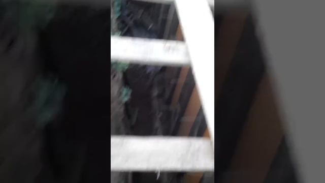 Первый опыт заливки в несъемную опалубку из пеноплекса. смотреть онлайн