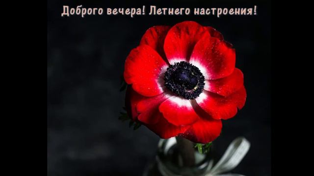 Жили, живём и будем жить! смотреть онлайн