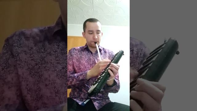 Undertale - Metal Crusher (melodica) Maxim Goryachev смотреть онлайн