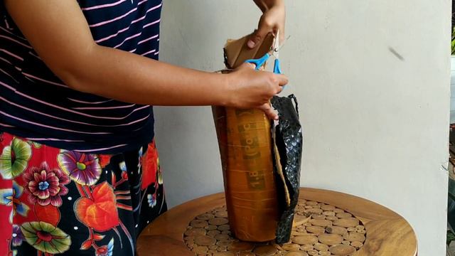 unboxing belanja online baby Anthurium Clarinervium смотреть онлайн