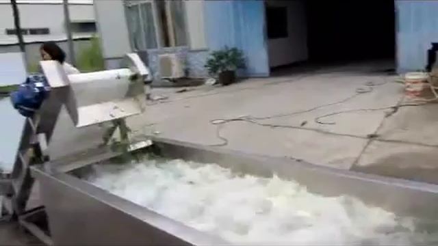 Линия для нарезки и мойки салатов (овощей) Titan FW-2000 смотреть онлайн