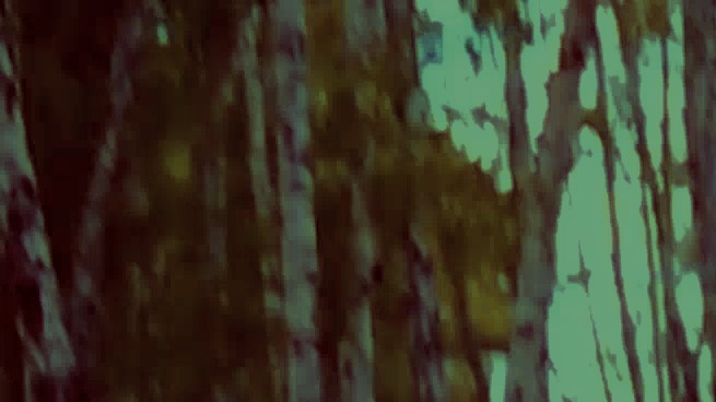 МЕНЯ ПОХИТИЛИ..