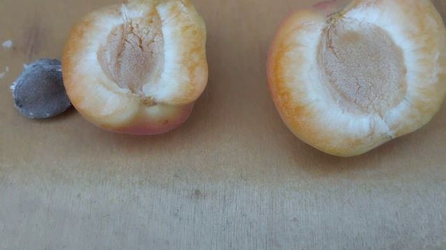 Абрикос NJA - 19 крупный вкусняшка. смотреть онлайн