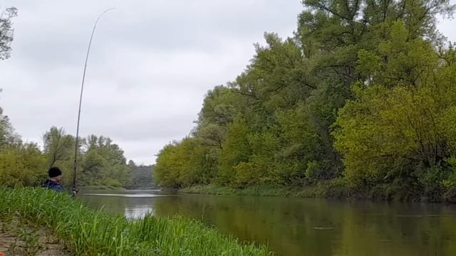 Рыбалка в мае на поплавок в непогоду. смотреть онлайн