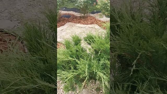 Укладка пошаговой дорожки из натурального камня своими руками.