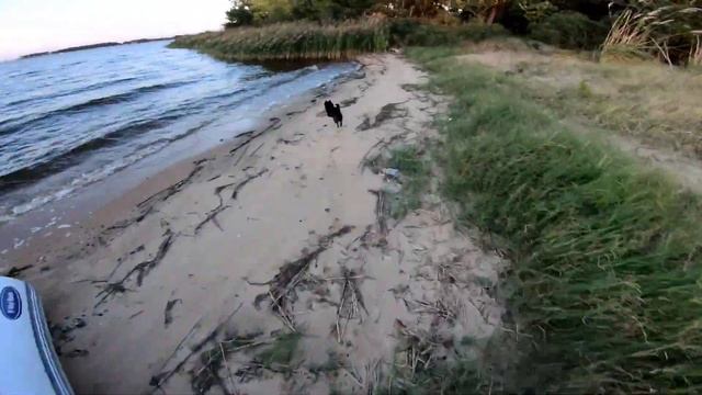 Exploring A Deserted Island(Pleasure Island) With TedTheFlightLifeDog, Edgemere, MD смотреть онлайн