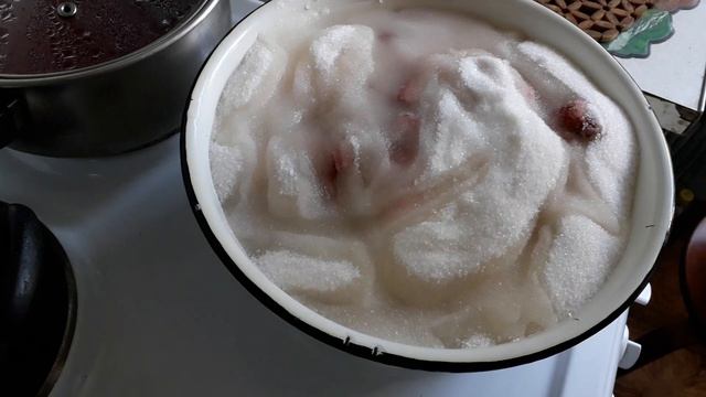 Жимолость с клубникой! смотреть онлайн