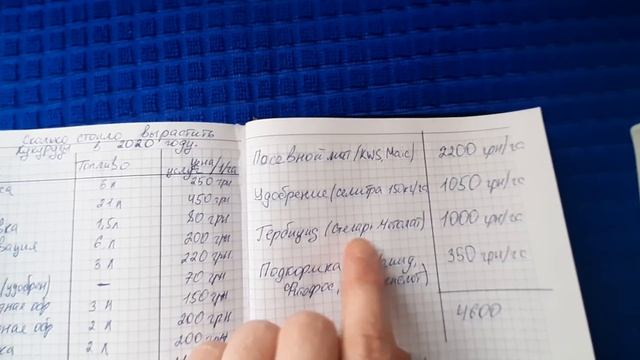 Скільки коштувало виростити 1 гектар Кукурудзи фермеру в 2020 році . смотреть онлайн