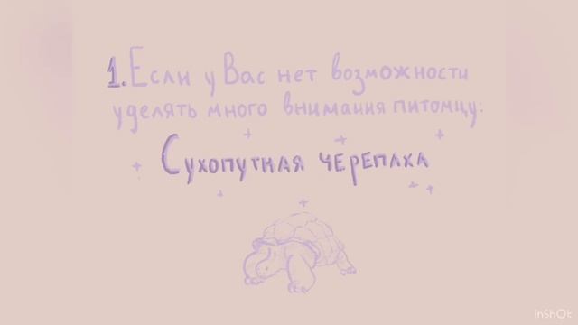 Выбор домашнего животного смотреть онлайн