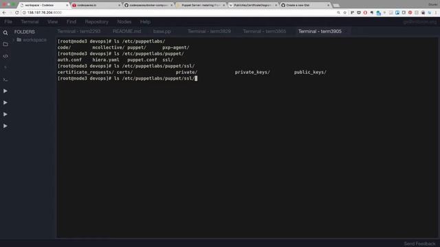 Regenerating Puppet Certificate смотреть онлайн