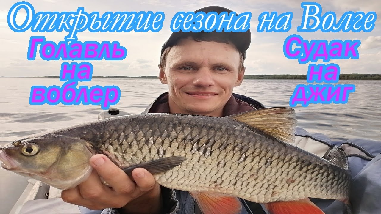 СПИННИНГ НА ВОЛГЕ/ЛОВЛЯ СУДАКА НА ДЖИГ/ГОЛАВЛЬ НА ВОБЛЕРЫ/ОТКРЫТИЕ СЕЗОНА ПОСЛЕ НЕРЕСТОВОГО ЗАПРЕТА смотреть онлайн