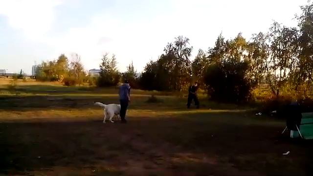 БШО Фаворит Удачи на занятии по защите