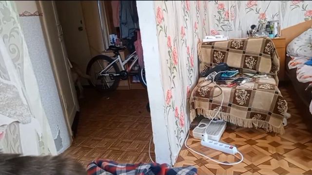 ✨Игры с Марли✨Как всегда посмотри описание ✨